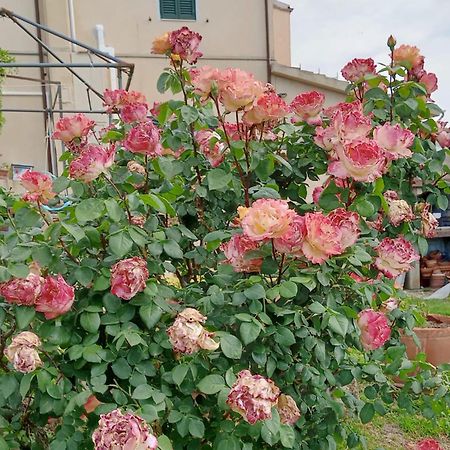 Casa Vacanze L'Acquerello Lari Kültér fotó